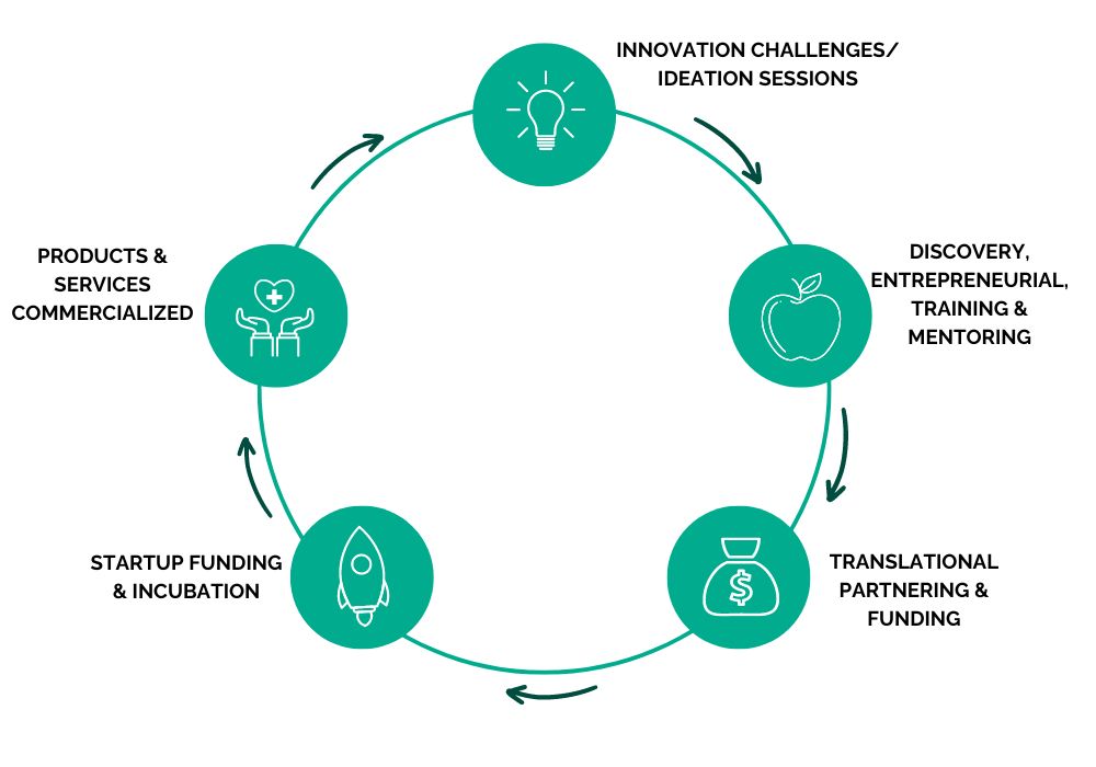 WHIN Innovation Cycle